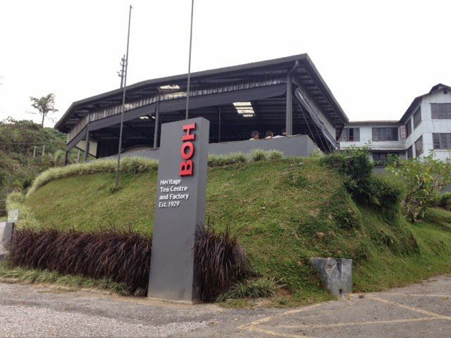 tempat menarik cameron highlands
