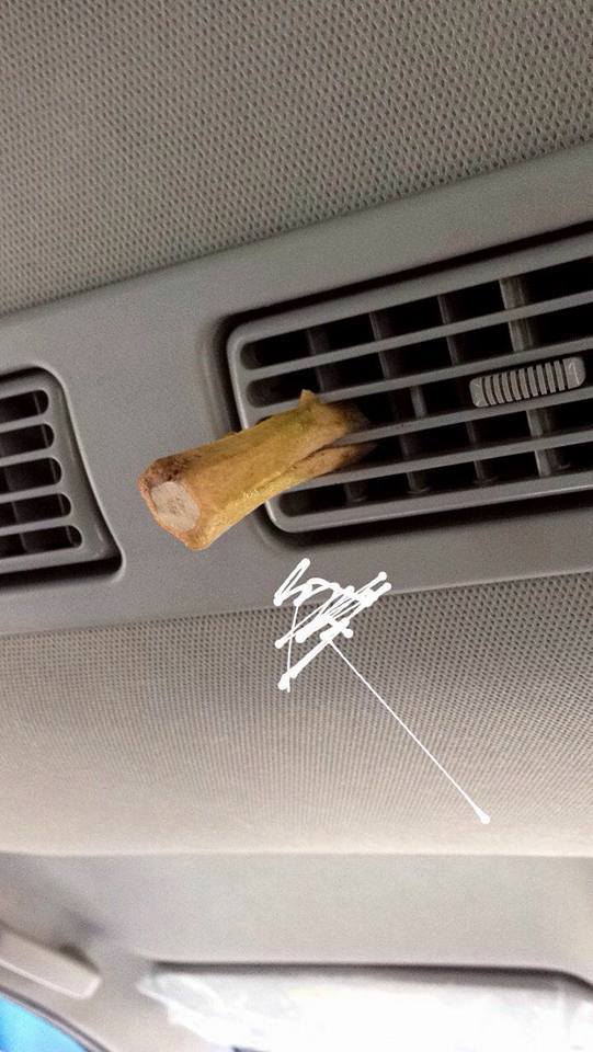 cara hilangkan bau durian